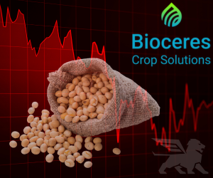 Bioceres acumula una baja superior al 70% este año